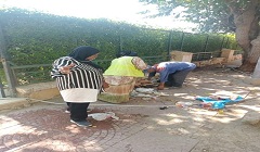 masr19.8.jpg