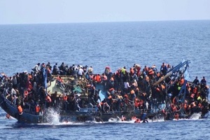 Migration.jpg