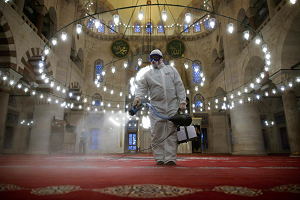 mosque_sterilizations.png