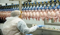 frozen_ poultry_Ramadan.jpg