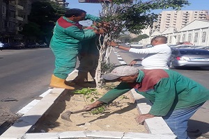 أعمال تجميلية بشارع السبتيه