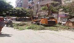 saueda7.6.jpg