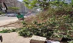 masara12.5.jpg
