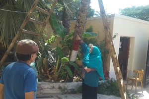 nazafa.jpg