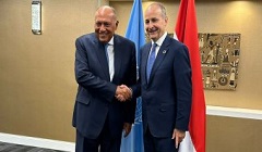 Egypt_Ireland_FM.jpg