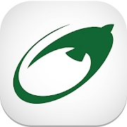 Website Icon