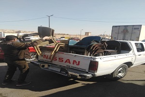 tora444.jpg