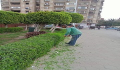 الاستمرار في رفع كفاءة شوارع العاصمة 
