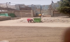 DAR23.5.jpg