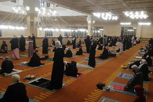 salaa16.4.jpg