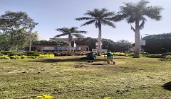 الحفاظ على الأخضر والمظهر الجمالي والحضاري بالحي