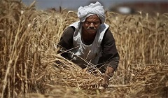 Egypt_wheat_imports.jpg