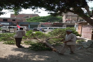 tepeen 22.9.jpg