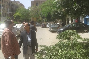 حي شبرا يقوم برفع المخلفات وتهذيب الأشجار في بعض شوارع الحي