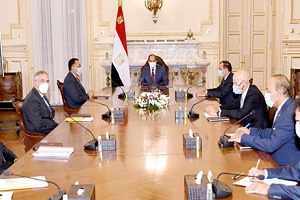 Sisi_oil.jpg
