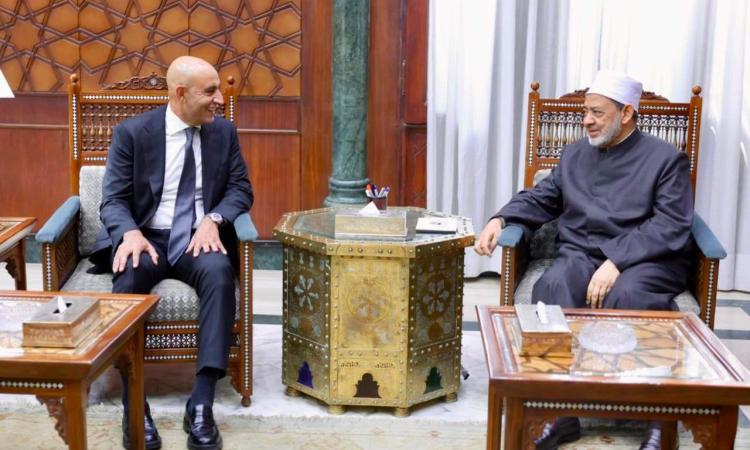 Azhar Grand Imam meets Education Minister, stresses Arabic’s role in preserving identity