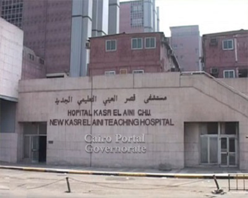 Qasr Al-Ainy Pasha Street