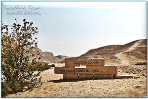 محمية وادي دجلة