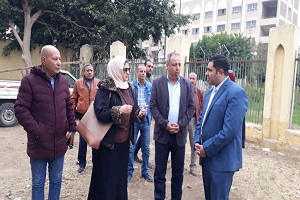 taksef.jpg