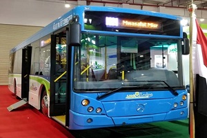 BUS.jpg