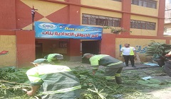 متابعة أعمال تقليم الأشجار بنطاق الحي 