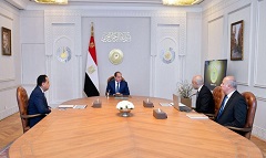 Sisi_AI_integration.jpg