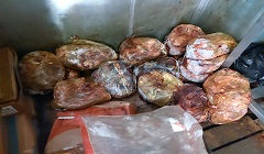 bab_alsha3rya_aug2.jpg (1)