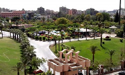 The International Park