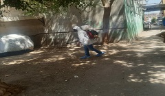 helwan25.5.jpg