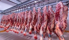 meat.jpg