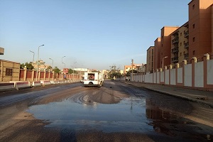 نظافة وتجميل شوارع الحي