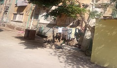 الاهتمام بالمساحات الخضراء بنطاق الحي 