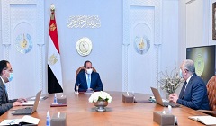 president_sisi_meeting.jpg (4)