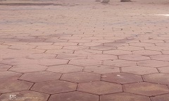 masr27.5.jpg
