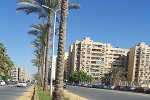 رفع كفاءة حدائق وتطوير المسطحات الخضراء بمربع ٧٧٧