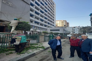 استعادة المظهر الحضاري لشوارع الحي 