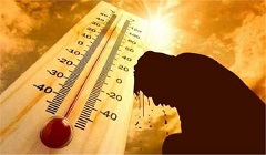 7arara.jpg