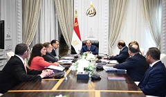 President_Sisi_government.jpg