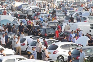 19-e3lam2.jpg