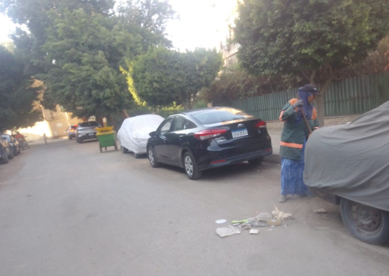 المعادي