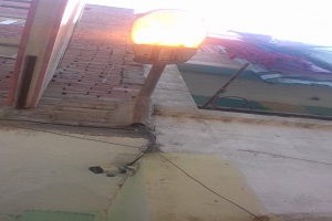 tpeen 22.11.jpg