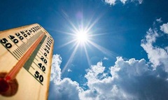 harar.jpg (2)