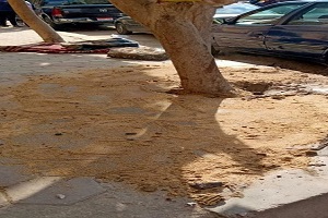 تركيب بلاط أمام مدرسة عابدين