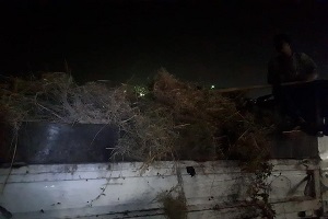 almasara111111111111.jpg