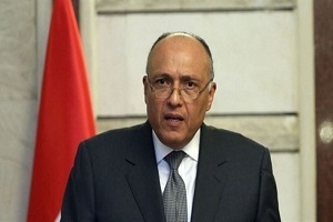 شكري يلتقي المبعوث الأممي للسلام بالشرق الاوسط اليوم.jpg