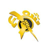 Website Icon
