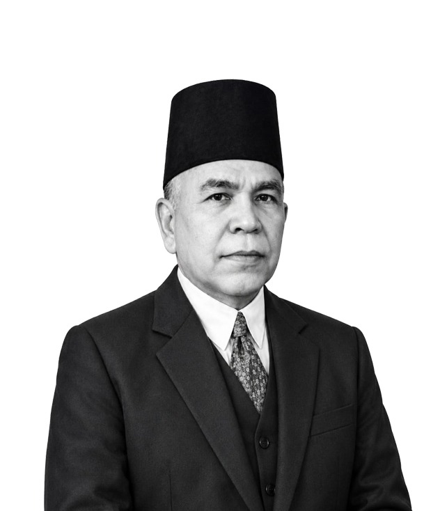 Mr Hafez Hassan Pasha