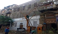 azbakya_dec1.jpg (2)