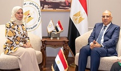 Egypt_Bahrain_irrigation.jpg
