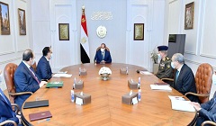 president_sisi_meeting.jpg (5)